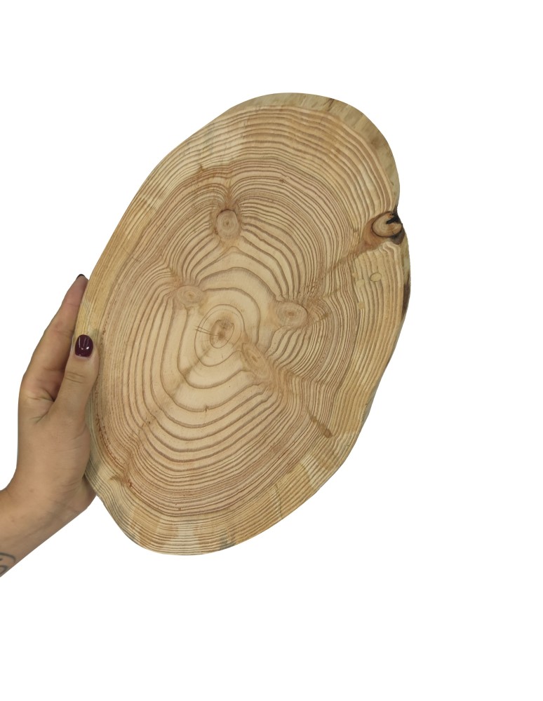 HOLZSCHEIBEN - Holzscheibe Baumscheibe ohne Rinde geschliffen, OVAL, Breite 20-25 cm, Länge 30-35 cm/ LÄRCHE - product new.modo24.de 1