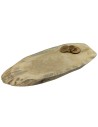 Baumscheibe Tischplatte  ohne Rinde geschliffen , Oval, 78 cmx 31 cm x 4 cm, 141029/KIEFER, UNIKAT