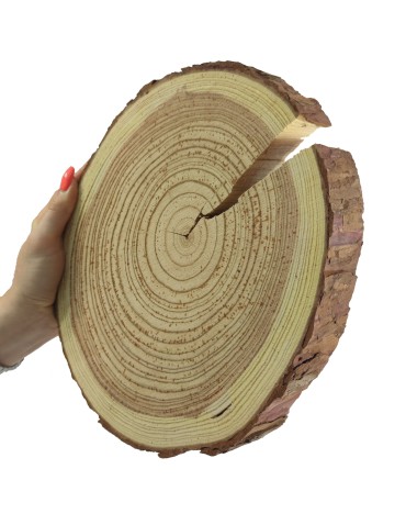 Holzscheibe Lärche, Durchmesser 20-25 cm, Dicke 3 cm, mit Rinde