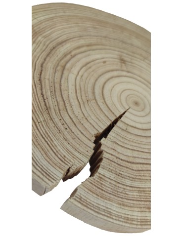 Holzscheibe Lärche, Durchmesser 20-25 cm, Dicke 2,5 cm, ohne Rinde - product 2