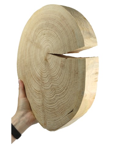 Holzscheibe Lärche, Durchmesser 30-35 cm, Dicke 4 cm, ohne Rinde