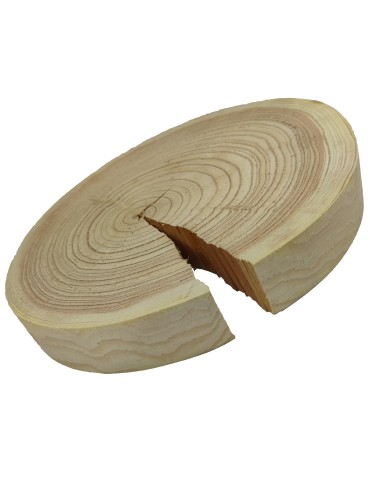 Holzscheibe Lärche, Durchmesser 20-25 cm, Dicke 3 cm, ohne Rinde - product 2