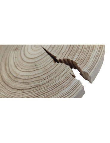 Holzscheibe Lärche, Durchmesser 20-25 cm, Dicke 2 cm, ohne Rinde - product 2