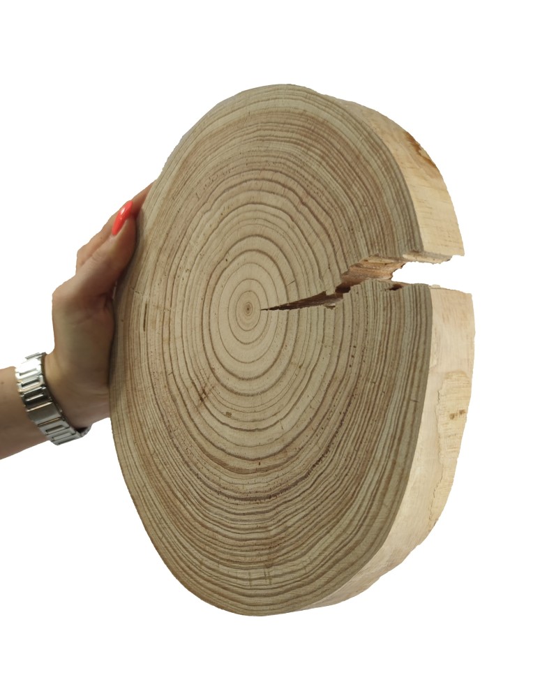 Runde Scheiben - Holzscheibe Lärche, Durchmesser 20-25 cm, Dicke 1,5 cm, ohne Rinde - product new.modo24.de 1