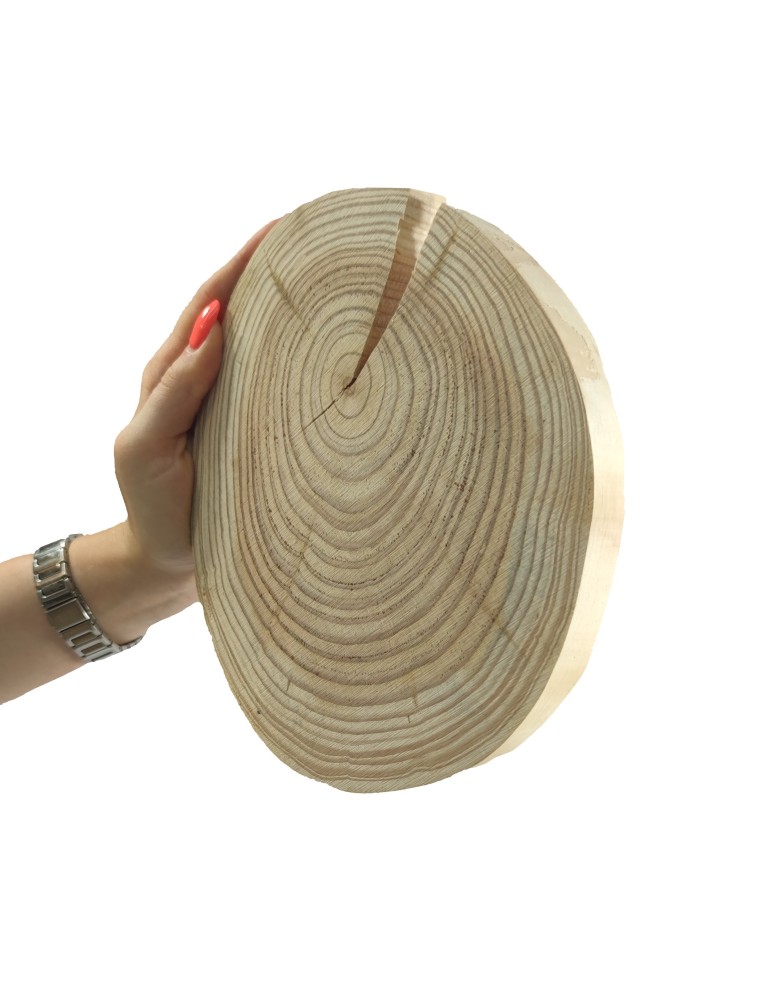 Runde Scheiben - Holzscheibe Lärche, Durchmesser 15-20 cm, Dicke 2,5 cm, ohne Rinde - product new.modo24.de 1