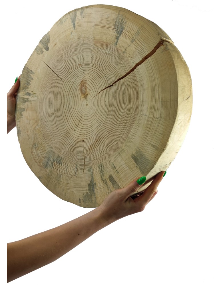 Runde Scheiben - Holzscheibe Kiefer, Durchmesser 50-55 cm, Dicke 6 cm, ohne Rinde - product new.modo24.de 1