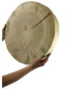 Holzscheibe Kiefer, Durchmesser 50-55 cm, Dicke 5 cm, ohne Rinde