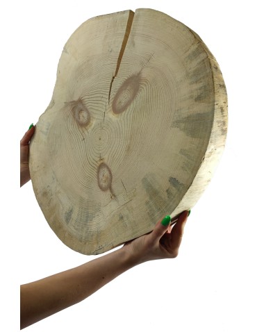 Holzscheibe Kiefer, Durchmesser 45-50 cm, Dicke 5 cm, ohne Rinde
