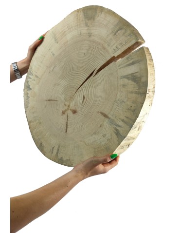 Holzscheibe Kiefer, Durchmesser 40-45 cm, Dicke 5 cm, ohne Rinde