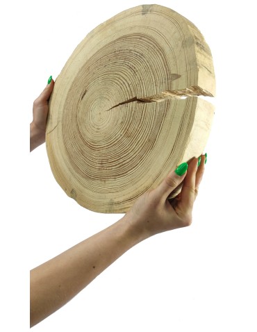 Holzscheibe Kiefer, Durchmesser 35-40 cm, Dicke 5 cm, ohne Rinde