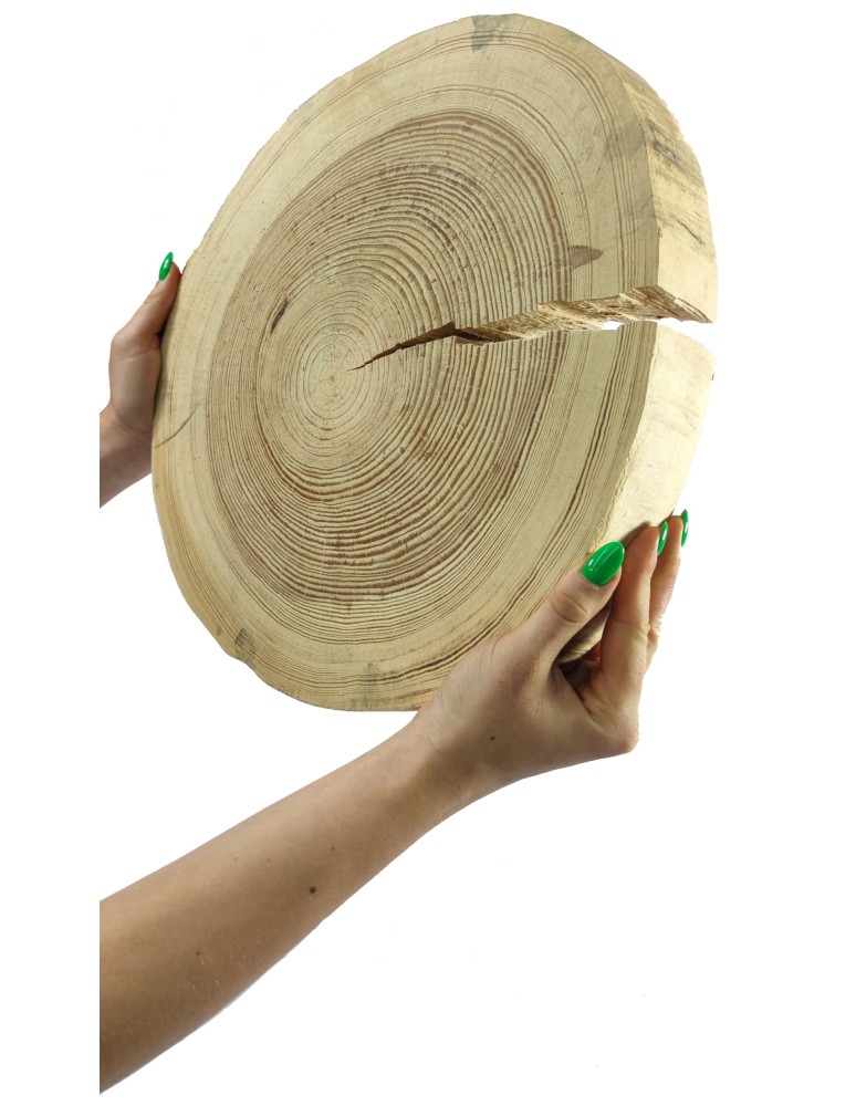 Runde Scheiben - Holzscheibe Kiefer, Durchmesser 35-40 cm, Dicke 5 cm, ohne Rinde - product new.modo24.de 1