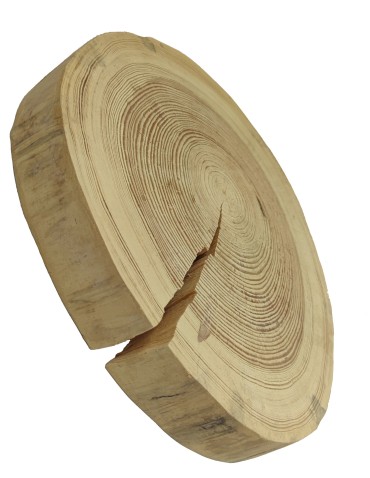 Holzscheibe Kiefer, Durchmesser 30-35 cm, Dicke 5 cm, ohne Rinde - product 2
