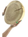 Holzscheibe Kiefer, Durchmesser 30-35 cm, Dicke 5 cm, ohne Rinde