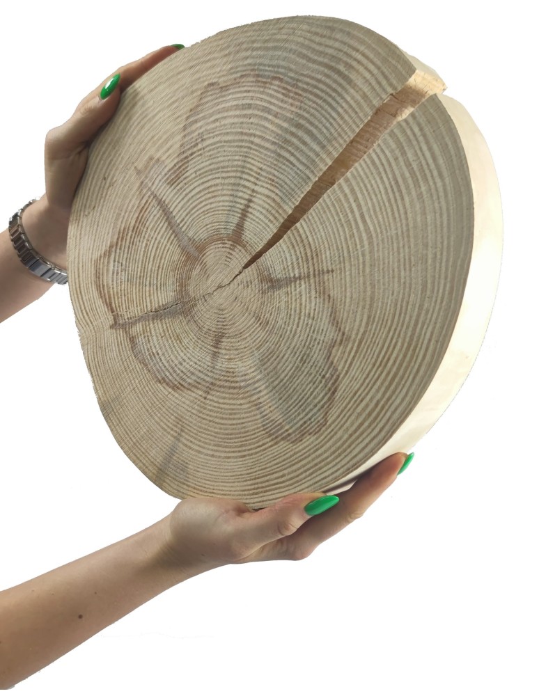 Runde Scheiben - Holzscheibe Kiefer, Durchmesser 25-30 cm, Dicke 3,5 cm, ohne Rinde - product new.modo24.de 1