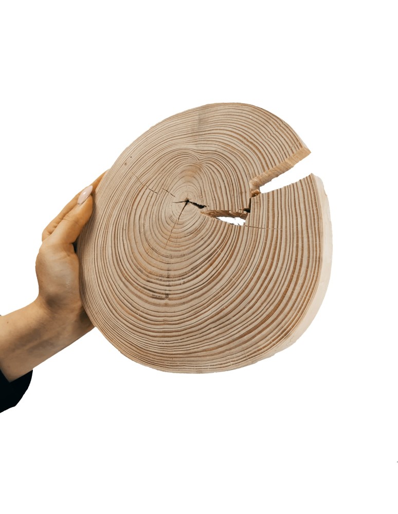 Runde Scheiben - Holzscheibe Kiefer, Durchmesser 15-20 cm, Dicke 2 cm, ohne Rinde - product new.modo24.de 1
