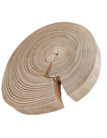 Holzscheibe Kiefer, Durchmesser 10-15 cm, Dicke 2 cm, ohne Rinde - product 2