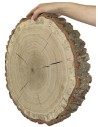 Holzscheibe Eiche, Durchmesser 35-40 cm, Dicke 6 cm, mit Rinde