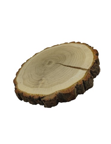 Holzscheibe Eiche, Durchmesser 15-20 cm, Dicke 3 cm, mit Rinde - product 2