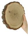 Holzscheibe Eiche, Durchmesser 15-20 cm, Dicke 3 cm, mit Rinde