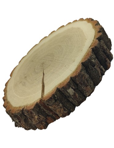 Holzscheibe Eiche, Durchmesser 20-25 cm, Dicke 6 cm, mit Rinde - product 2
