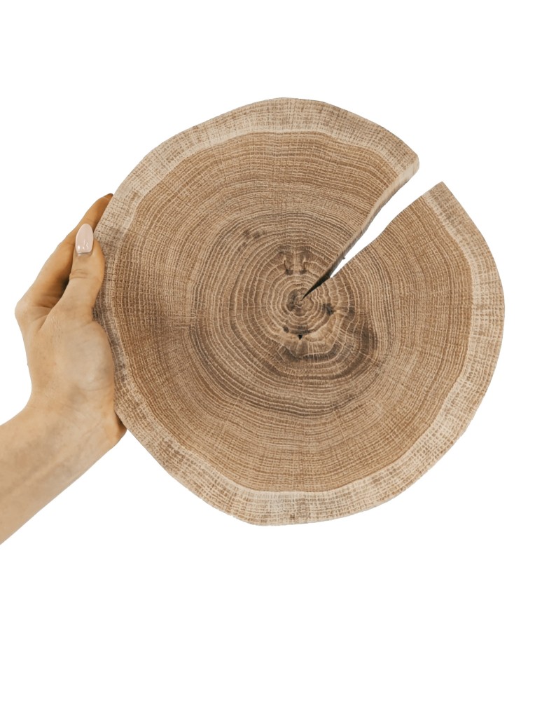 Runde Scheiben - Holzscheibe Eiche, Durchmesser 20-25 cm, Dicke 2 cm, ohne Rinde - product new.modo24.de 1