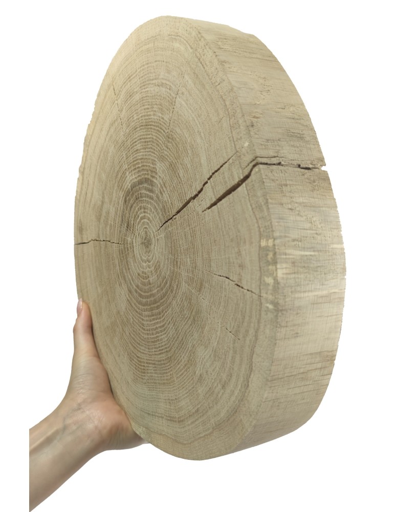 Runde Scheiben - Holzscheibe Eiche, Durchmesser 30-35 cm, Dicke 5 cm, ohne Rinde - product new.modo24.de 1