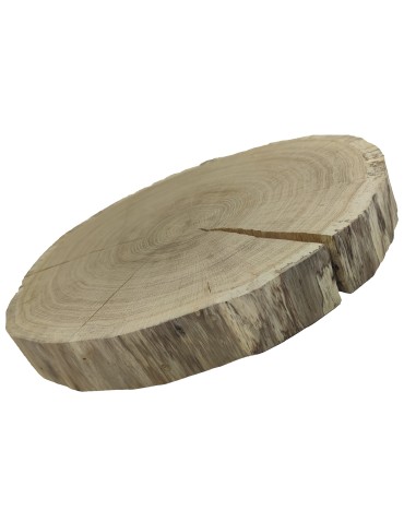Holzscheibe Eiche, Durchmesser 40-45 cm, Dicke 6 cm, ohne Rinde - produkt 2