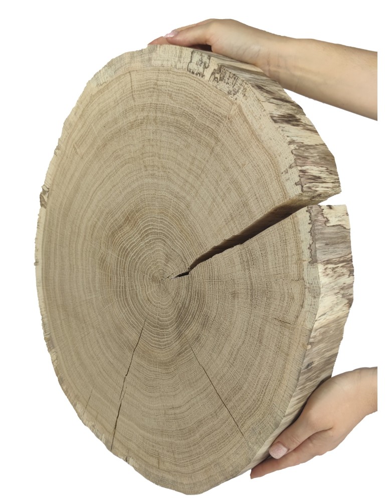 Runde Scheiben - Holzscheibe Eiche, Durchmesser 40-45 cm, Dicke 6 cm, ohne Rinde - product new.modo24.de 1