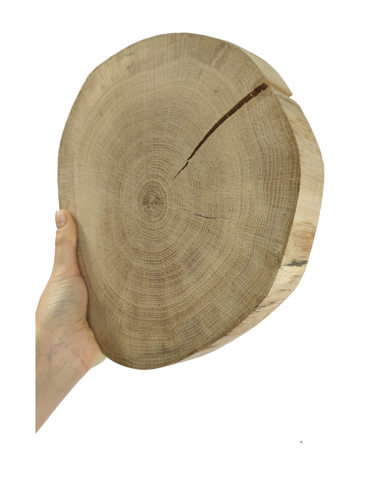 Runde Scheiben - Holzscheibe Eiche, Durchmesser 20-25 cm, Dicke 4 cm, ohne Rinde - product new.modo24.de 1