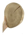 Holzscheibe Eiche, Durchmesser 20-25 cm, Dicke 4 cm, ohne Rinde