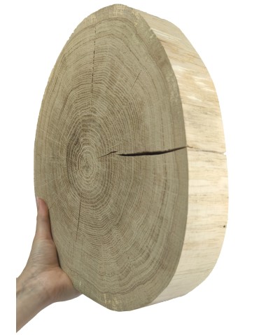 Holzscheibe Eiche, Durchmesser 25-30 cm, Dicke 6 cm, ohne Rinde
