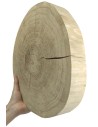 Holzscheibe Eiche, Durchmesser 25-30 cm, Dicke 6 cm, ohne Rinde