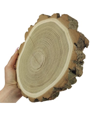 Holzscheibe Akazie, Durchmesser 15-20 cm, Dicke 3,5 cm, mit Rinde
