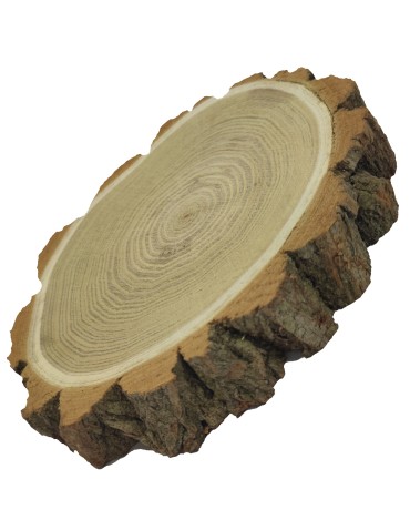 Holzscheibe Akazie, Durchmesser 25-30 cm, Dicke 3,5 cm, mit Rinde - produkt 2