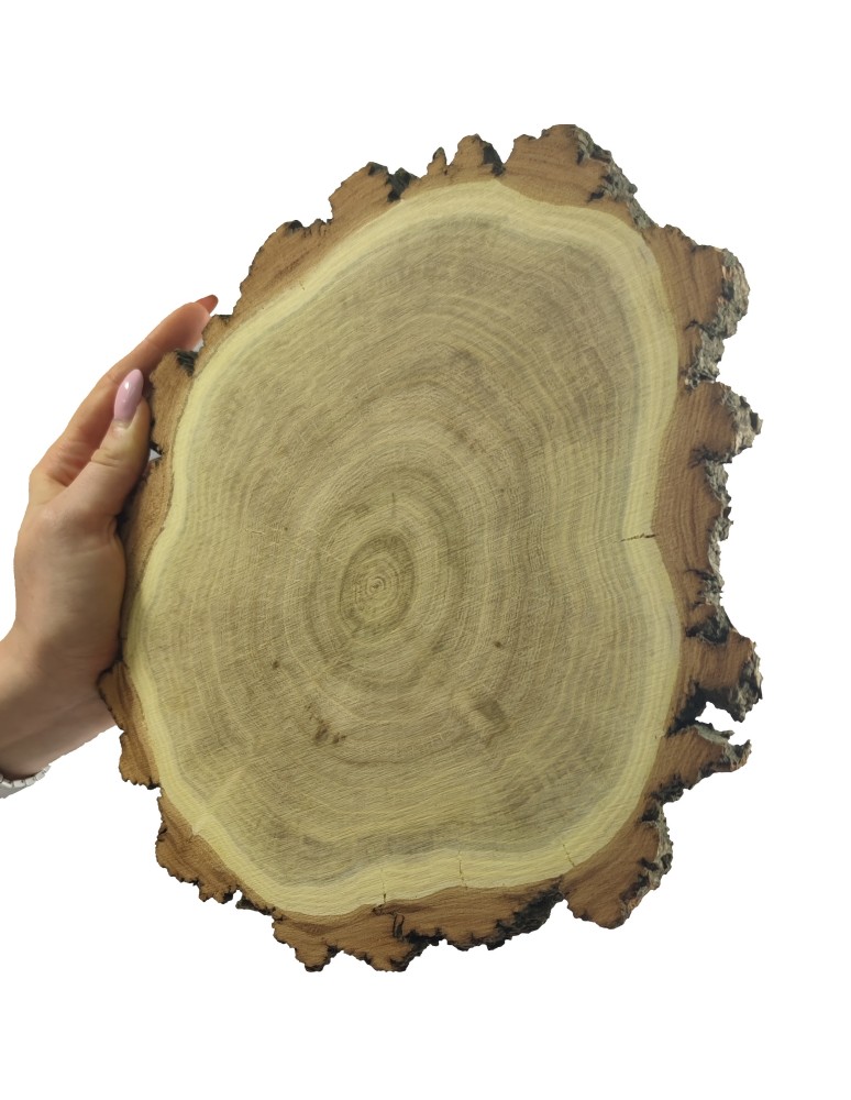 Runde Scheiben - Holzscheibe Akazie, Durchmesser 20-25 cm, Dicke 2 cm, mit Rinde - product new.modo24.de 1