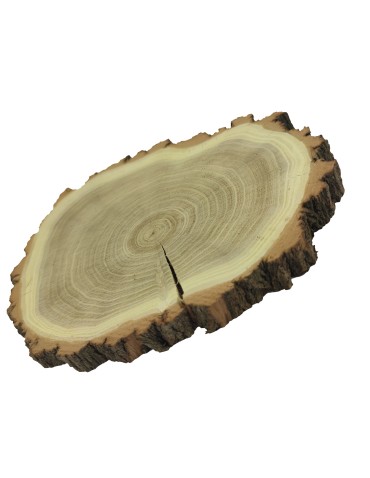 Holzscheibe Akazie, Durchmesser 15-20 cm, Dicke 2 cm, mit Rinde - product 2