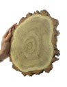 Holzscheibe Akazie, Durchmesser 15-20 cm, Dicke 2 cm, mit Rinde