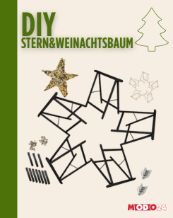 Weihnachtsstern ModoStar Weihnachtsstern ModoStar
