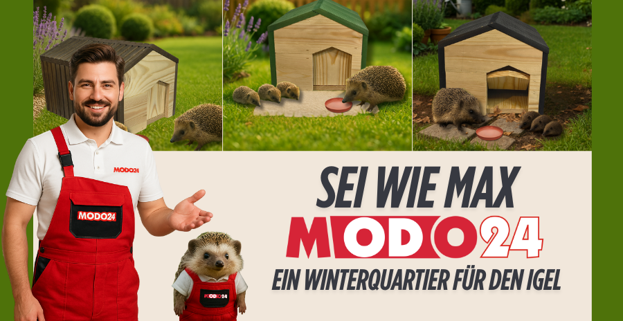 ein Winterquartier für den Igel Sei wie Max - ein Winterquartier für den Igel