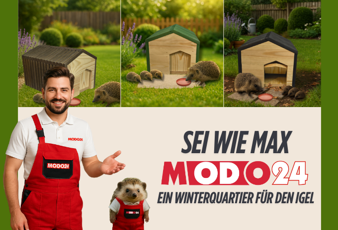 ein Winterquartier für den Igel Sei wie Max - ein Winterquartier für den Igel